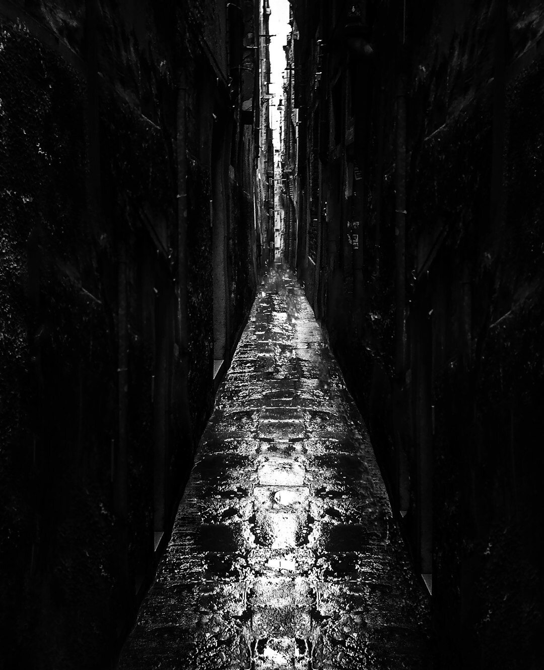 dark secret book cover
