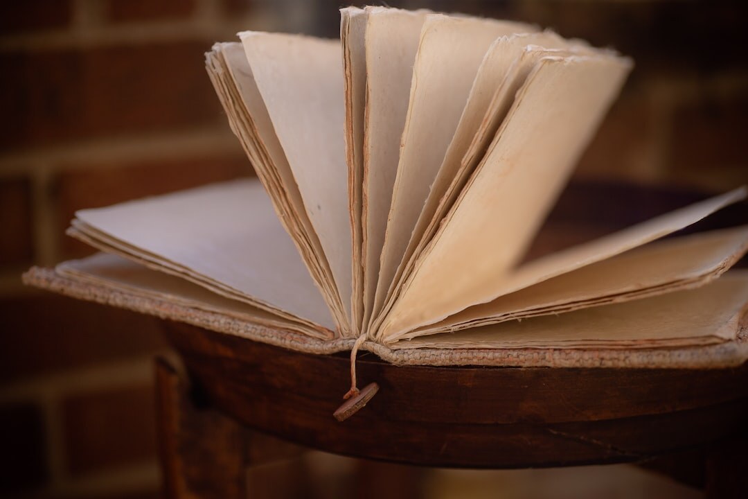 mystery book with twist ending